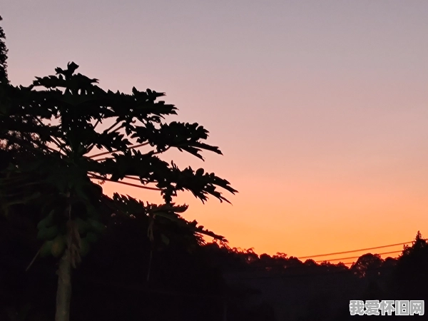 我太需要一场胜利了，来恢复我的少年心气  第3张