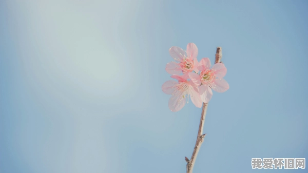 沉默的APP，藏着一代人的长大  第1张