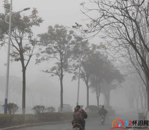 人在雾中行，一片白茫茫  第3张