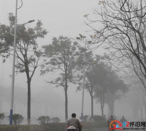 人在雾中行，一片白茫茫  第4张