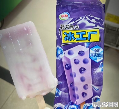 小时候吃冰工厂蓝莓棒冰的那点事儿 第1张