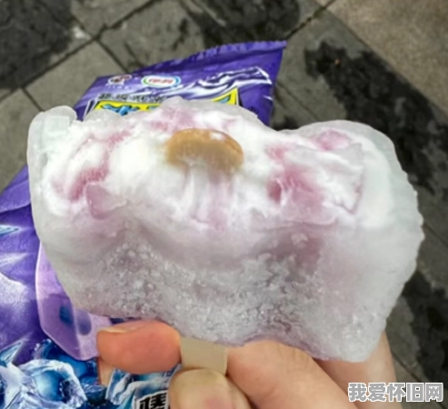 小时候吃冰工厂蓝莓棒冰的那点事儿 第2张