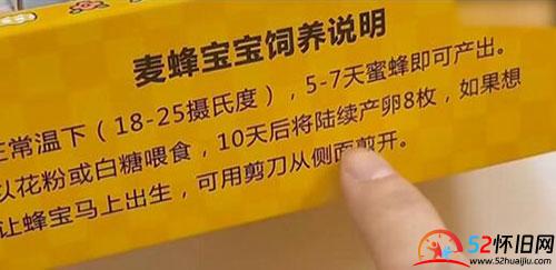 还记得小时候养过的蜂王宝宝吗？  第2张