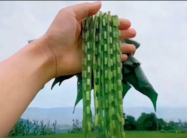 记得小时候把红薯杆,当耳环项链,有这么玩过的吗?  第2张