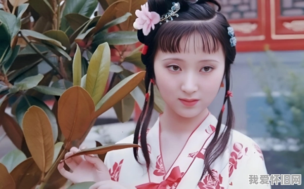 重温87版红楼梦:为什么三十多年依旧是无法超越的经典 第2张