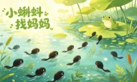 小蝌蚪找妈妈（附读后感）